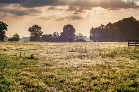De Kastanjefabriek foto 22