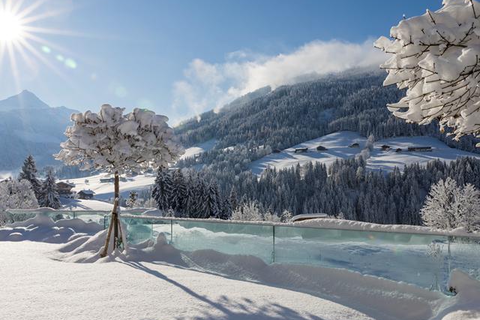 Mountain & Spa Resort Der Alpbacherhof foto 9