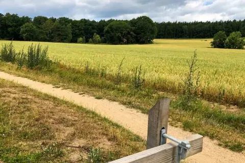 Hotel Restaurant Ruimzicht foto 40