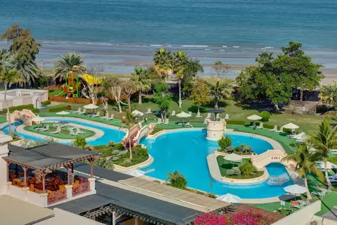 Intercontinental Muscat in Muskaatdruif