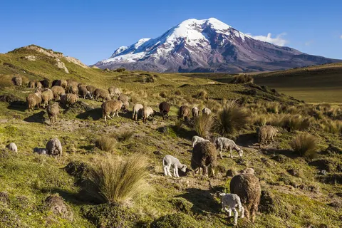 An Exploration of Ecuador in Otavalo — foto 3