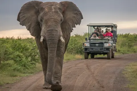 Het Beste van het Zuiden: Wijn- en Tuinroute in Zuidelijk Zuid-Afrika, Tuinroute, Wijnroute en de Kaap — foto 11