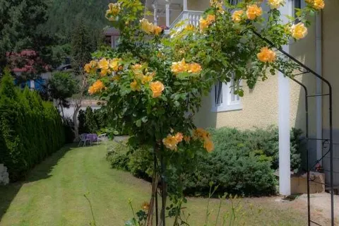 Hotel Garni Hubertus foto 19