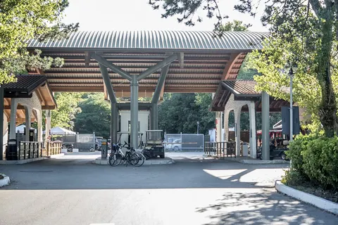 Rosapineta Camping Village foto 9