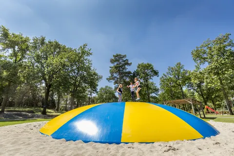 Camping De Bergen foto 2