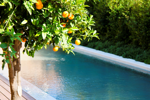 Villa Conte Marino foto 2