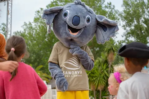 Camping Ondres Océan foto 28