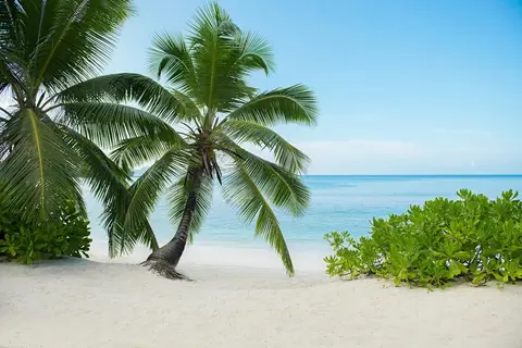 Avani+ Barbarons Seychelles in Grand Anse Mahe — foto 4