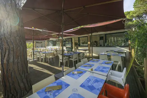 Camping Del Forte in Bibbona — foto 13