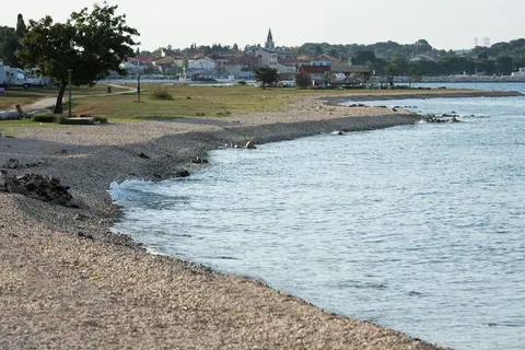 Camping Pineta foto 8