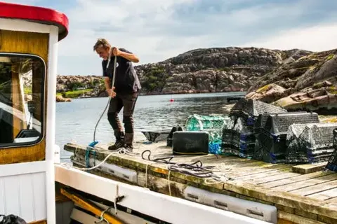 Explore Serene Sweden foto 7