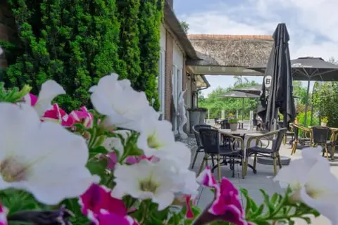 Hotel de Harmonie in Giethoorn, foto 18