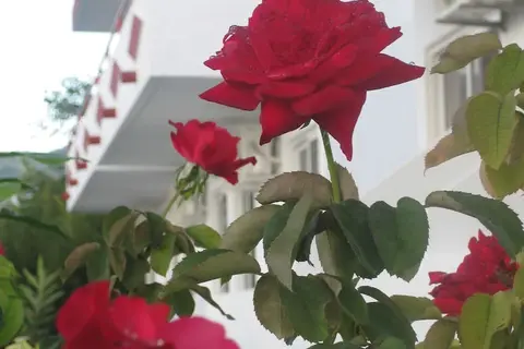 Stenna Apartments in Αντιμάχεια — foto 7