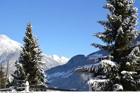 Alpina Resort Nature & Wellness in Ifs — foto 7