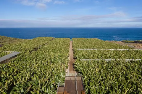 Hacienda La Dehesa in Buenavista del Norte — foto 10