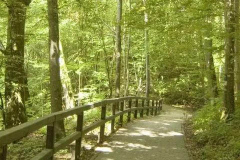 Hotel Restaurant Hauer foto 27