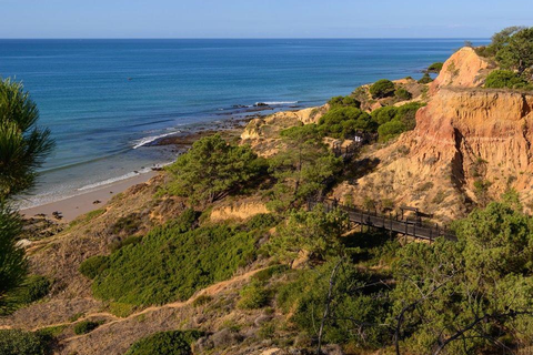 Appartementen 3HB Falesia Garden foto 2