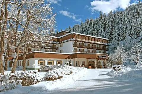 Alpenhotel Weitlanbrunn in Sillian
