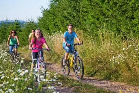 Vakantiepark Hambachtal in Oberhambach, foto 30