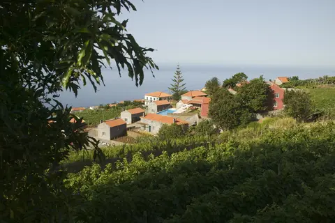 Quinta das Vinhas in Calheta — foto 6