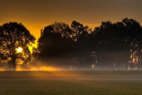 Van der Valk Hotel Veenendaal foto 28