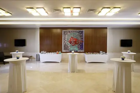 Istanbul Sabiha Gökcen Airport Hotel in Fatih, foto 30