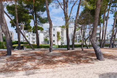 Lime Playa de Alcudia in Alcúdia — foto 11