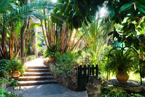 La Villarosa Terme in Ischia — foto 2