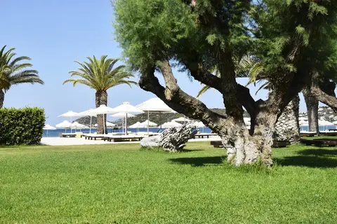 Plaza Resort Hotel in Athene — foto 4