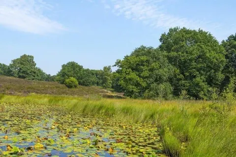 Oostappen Vakantiepark Boschbeek foto 7