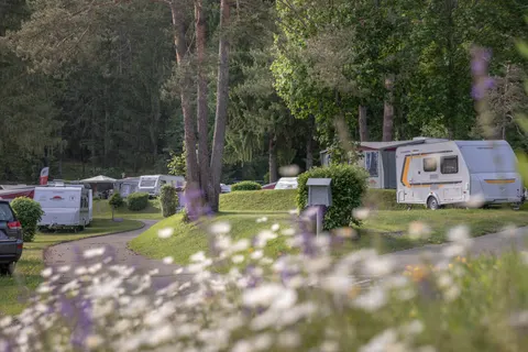 Vakantiepark Pressegger See foto 14