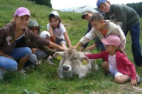 Camping Ekar Asiago in Asiago — foto 9