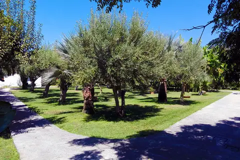 Tonicello Resort in Ricadi — foto 15