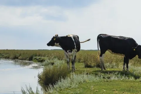 Parkhotel Tjaarda foto 47