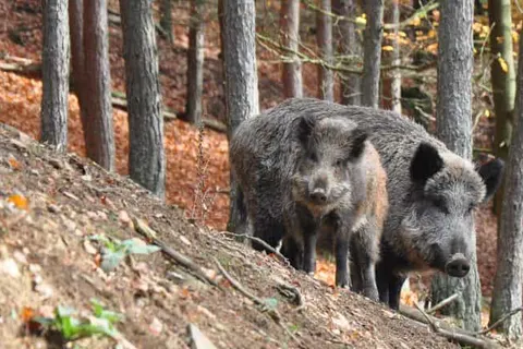 Hotel De Hoeve van Nunspeet foto 31