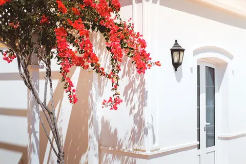 Villas Coloradamar in Yaiza — foto 14