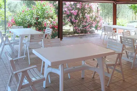 Agriturismo Le Mimose in Imperia — foto 23