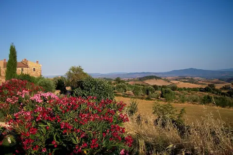 Tenuta Fattoria Vecchia in Scansano — foto 23