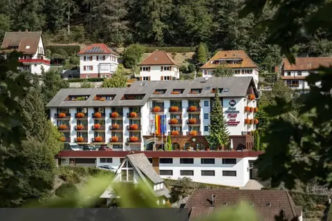 Hotel Best Western Plus Schwarzwald Residenz in Triberg — foto 10