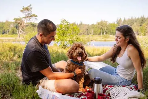 Camping Samoza foto 23