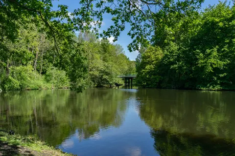 Het Amsterdamse Bos foto 8