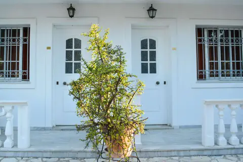 Paradise Beach Appartementen in Ζάκυνθος — foto 11