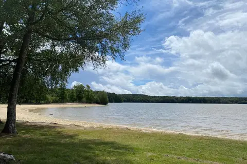 La Forêt in Sillé-le-Guillaume — foto 18