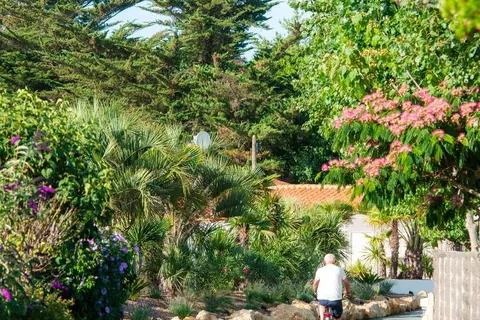 Camping Le California foto 16