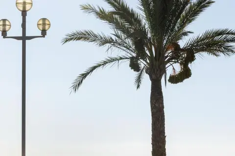 Crisol Promenade in Nice