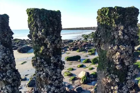 Fewo Westkapelle foto 11