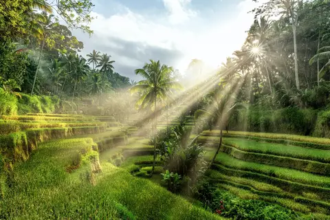 Ontdek Lombok in Surakarta — foto 12