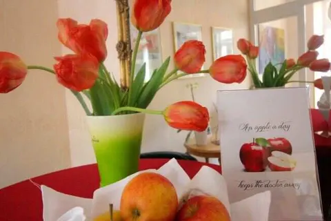 Hotel am Mühlenteich foto 14