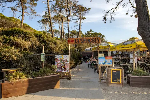 Camping Baia Verde foto 22