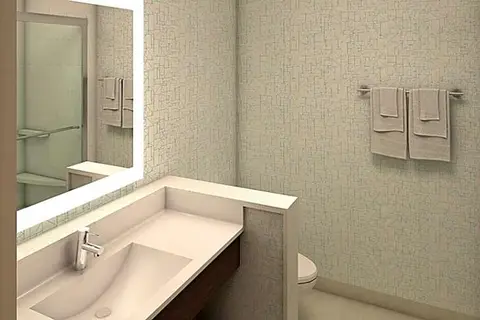 Holiday Inn Express & Suites S Lake Buena Vis in Kissimmee — foto 18